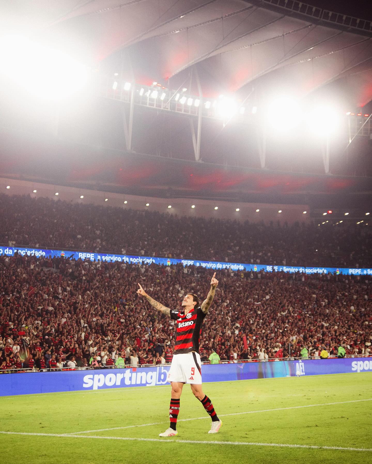 Pedro completa 300 jogos pelo Flamengo em clássico contra o Botafogo SaveClip.App 550857368 18535305652061077 8557641423203733640 n