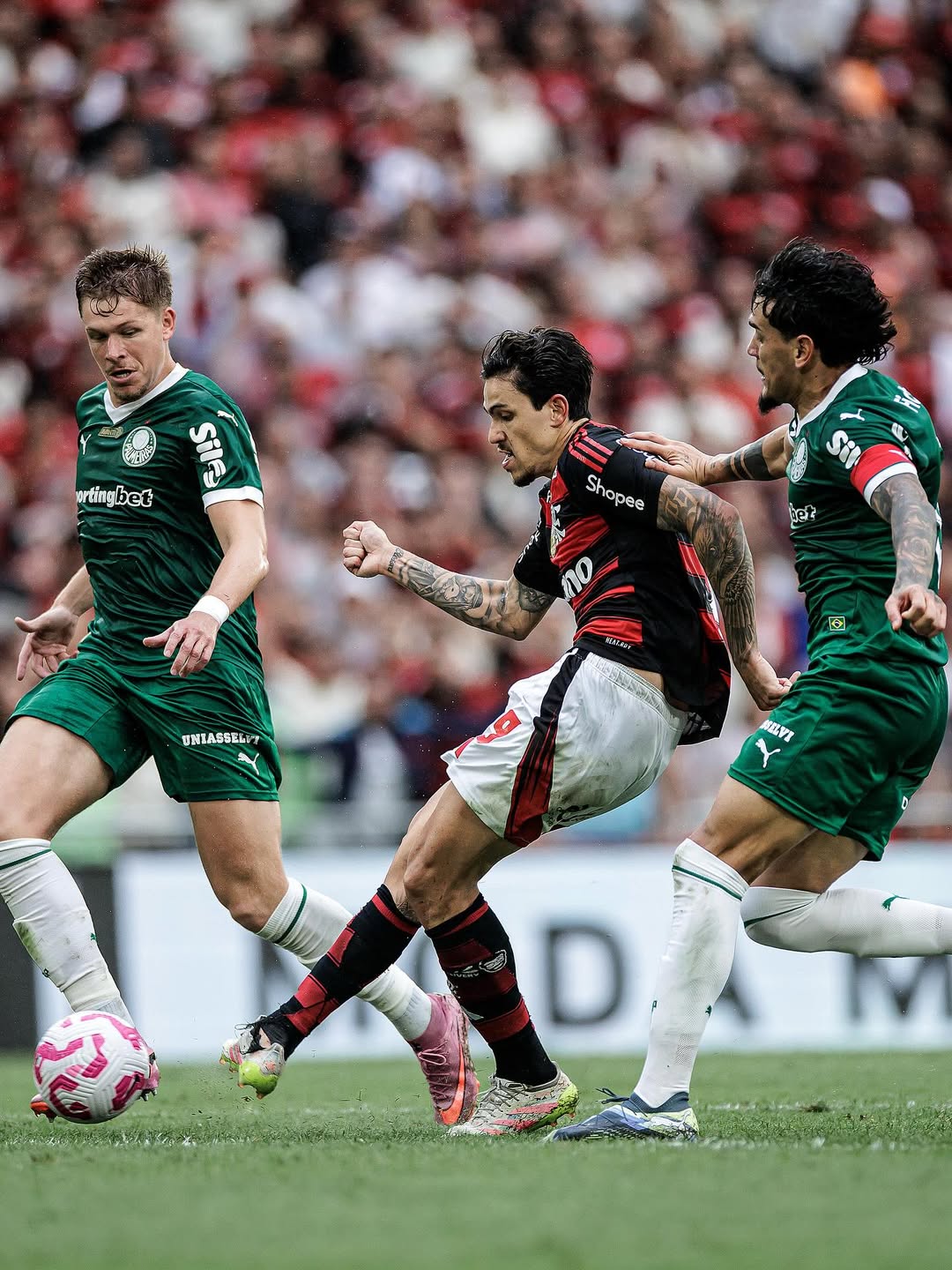 Flamengo e Palmeiras podem se reencontrar na final da Libertadores; Relembre como foi a última vez SaveClip.App 565049082 18542103673061077 7672046052578157742 n