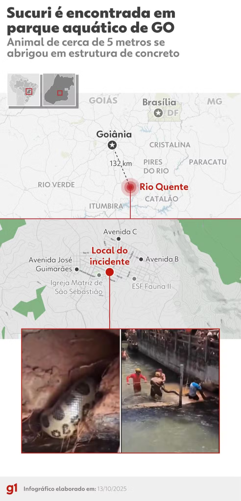 Corpo de Bombeiros resgata Sucuri gigante em Rio Quente sucuri