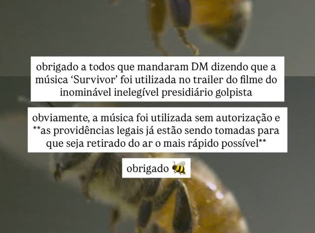 Beyoncé exige retirada de teaser de filme sobre Bolsonaro após uso irregular de “Survivor” SaveClip.App 589150426 2018476482276175 6887208000377977950 n
