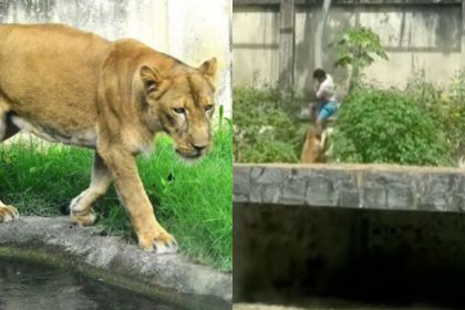 Foto/Kleide Teixeira/PMJP/G1