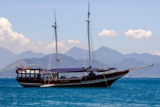 Estudo revela presença de mercúrio nos peixes da Baía de Guanabara baia de guanabara