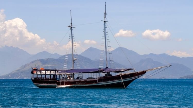 Estudo revela presença de mercúrio nos peixes da Baía de Guanabara baia de guanabara