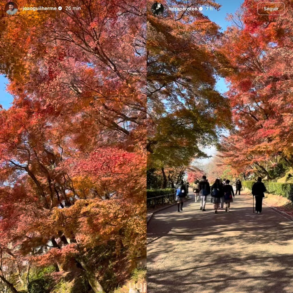 Novo affair? João Guilherme e Luiza Perote levantam rumores de romance após viagem stories joao guilherme luiza perote
