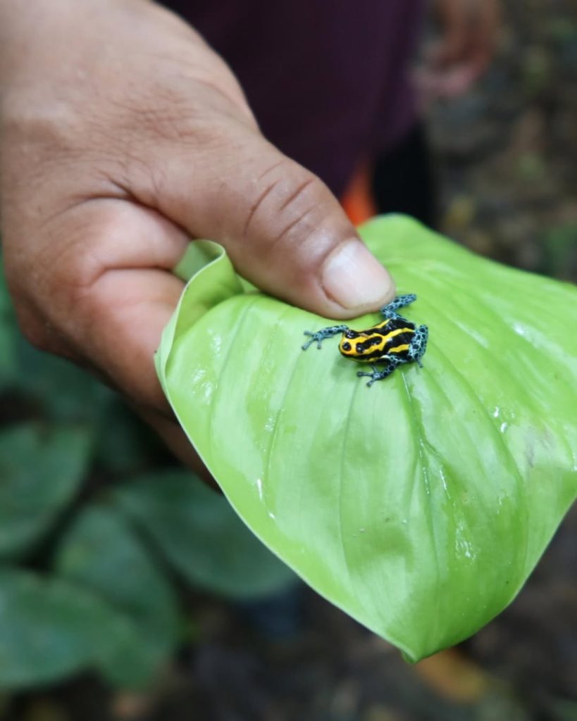 SaveClip.App 606987699 18564432922012569 8976636747662701686 n